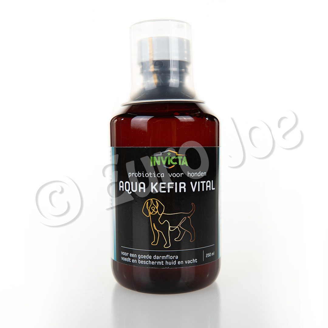 Waterkefir (Probiotica hond) Euro Joe Waterkefir (Probiotica Hond) -EURO JOE SHOP kefir