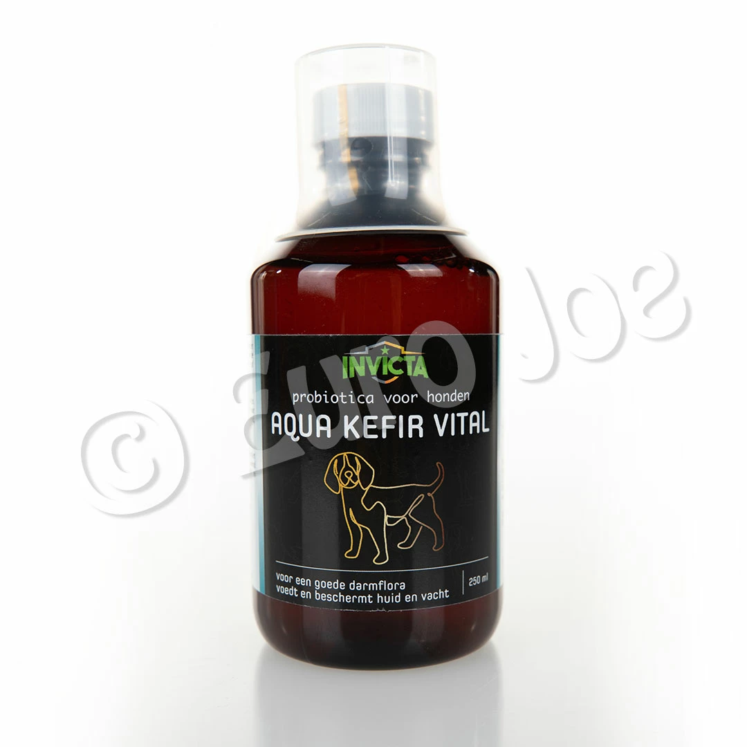 Euro Joe Waterkefir (Probiotica Hond)