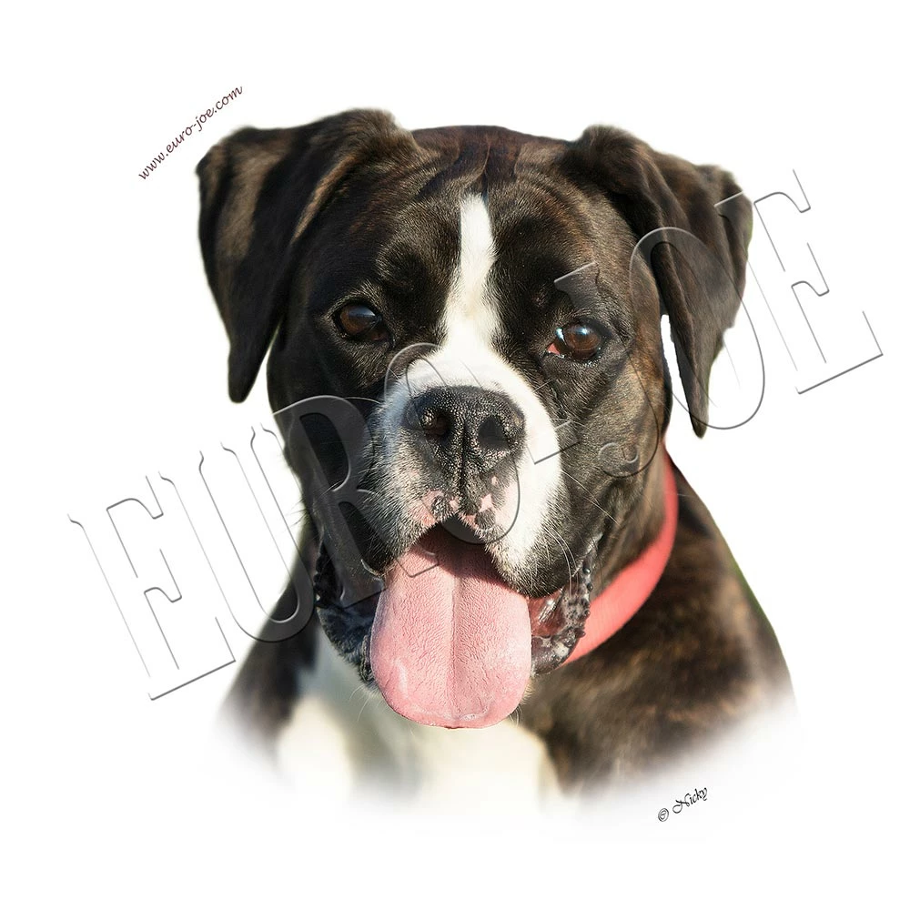 Euro Joe Round Sticker Boxer 006