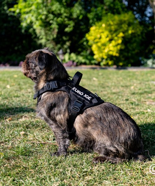 Euro Joe Nylon Harness 'Tactical' Black -EURO JOE SHOP loesje harnas 4 3