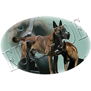 Euro Joe Ladies T-shirt With Round Wide Neck With Belgian Ring Print Nr.3