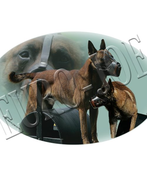 Euro Joe Ring Muzzle Sticker
