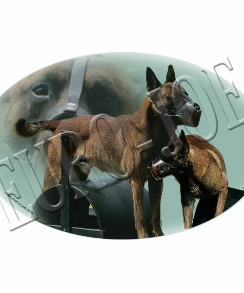 Euro Joe Ring Muzzle Sticker