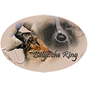 Euro Joe Ladies T-shirt With Round Wide Neck With Belgian Ring Print Nr.1