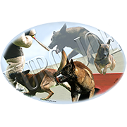 Euro Joe Ladies T-shirt With Round Wide Neck With Belgian Ring Print Nr.2