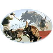 Euro Joe Ladies T-shirt With Round Wide Neck With Belgian Ring Print Nr.2