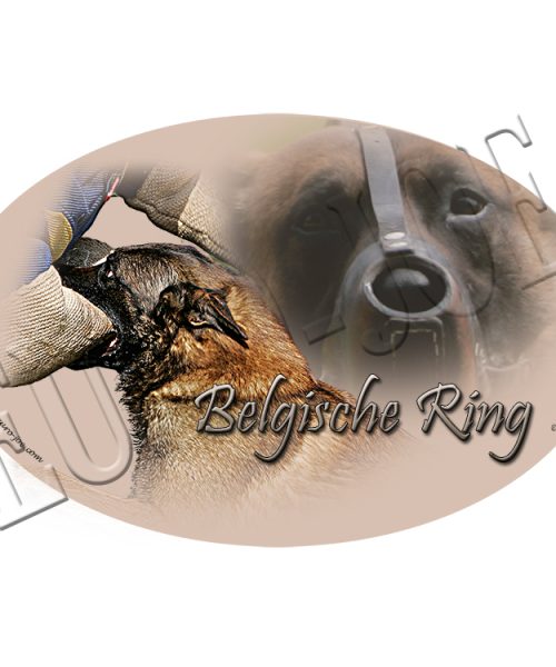 Euro Joe Ring Armbiter