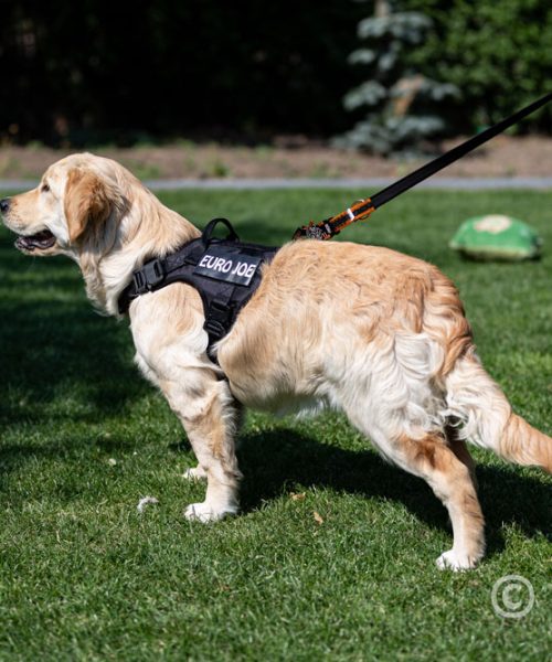 Euro Joe Nylon Harness 'Tactical' Black -EURO JOE SHOP tactical harness 11 3