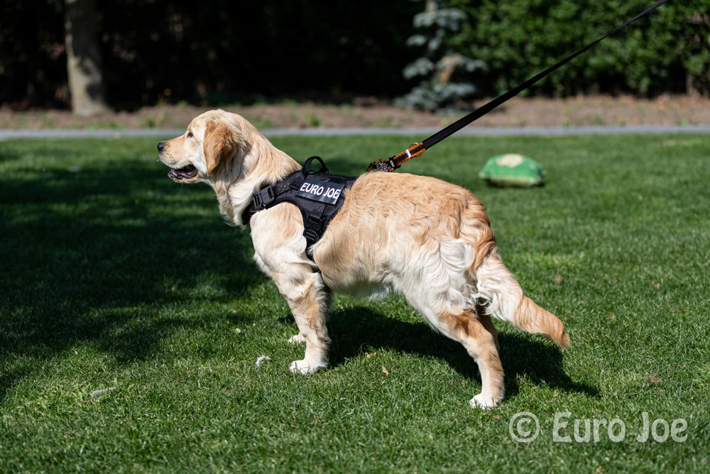 Euro Joe Nylon Harness 'Tactical' Khaki Green - Image 23