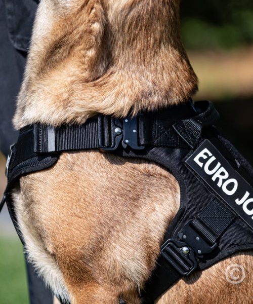 Euro Joe Nylon Harness 'Tactical' Red 6 Euro Joe Nylon Harness 'Tactical' Red -EURO JOE SHOP tactical harness 13 2