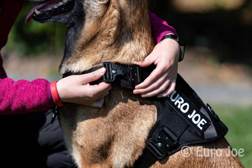 Nylon Harness 'Tactical' neon yellow Euro Joe Nylon Harness 'Tactical' Neon Yellow -EURO JOE SHOP tactical harness 14 1