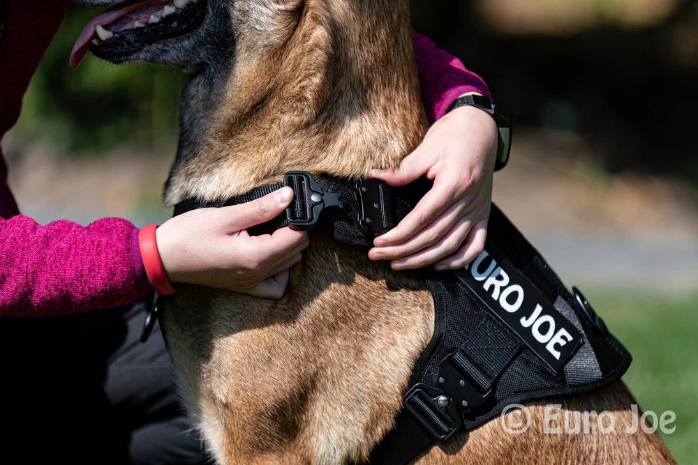 Euro Joe Nylon Harness 'Tactical' Orange - Image 8