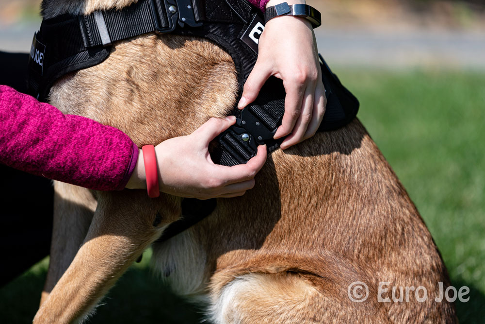 Nylon Harness 'Tactical' red Euro Joe Nylon Harness 'Tactical' Red -EURO JOE SHOP tactical harness 15 2