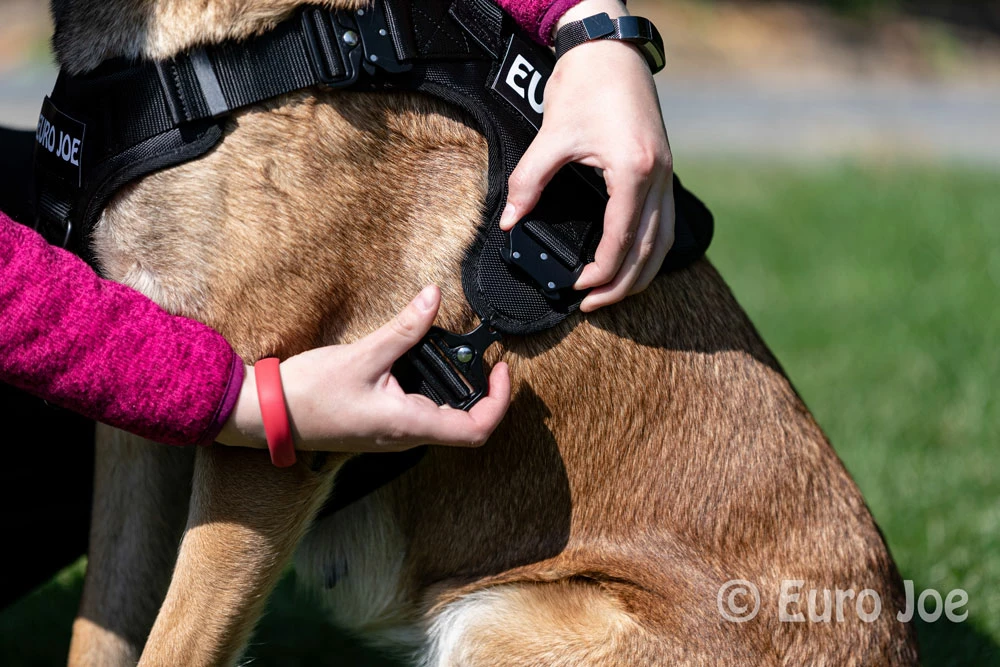 Euro Joe Nylon Harness 'Tactical' Pink - Image 10