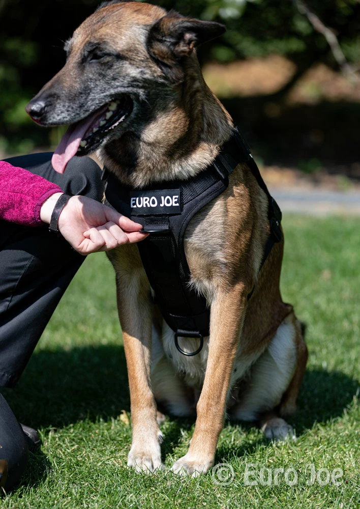 Euro Joe Nylon Harness 'Tactical' Neon Green - Image 13