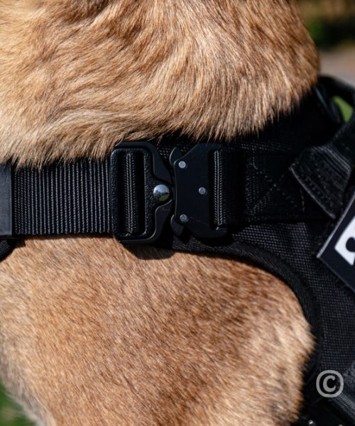 Euro Joe Nylon Harness 'Tactical' Red 14 Euro Joe Nylon Harness 'Tactical' Red -EURO JOE SHOP tactical harness 20 2