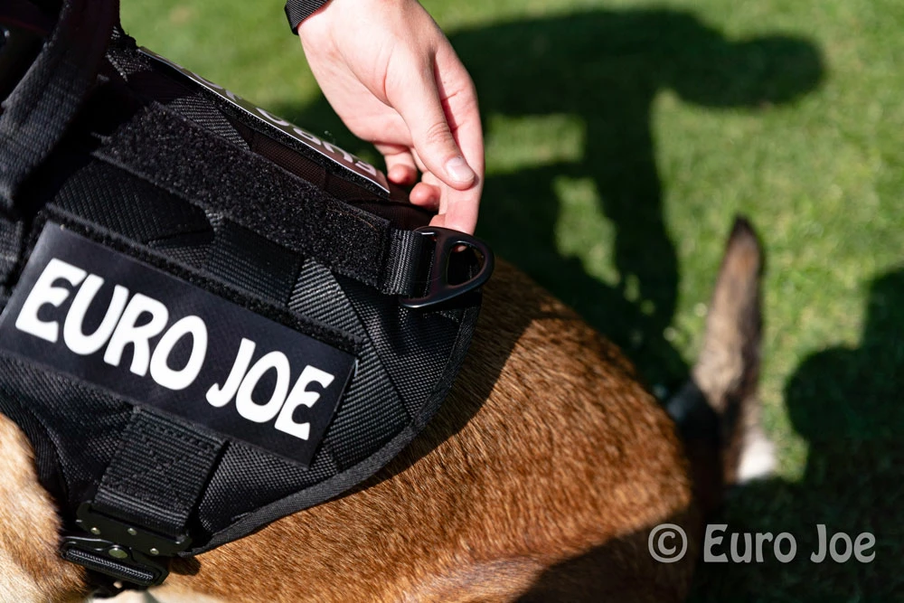 Euro Joe Nylon Harness 'Tactical' Orange - Image 16