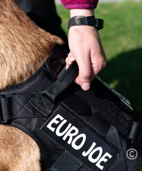 Euro Joe Nylon Harness 'Tactical' Pink -EURO JOE SHOP tactical harness 22 4