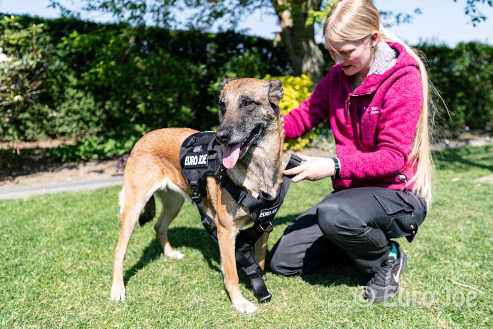 Nylon Harness 'Tactical' red Euro Joe Nylon Harness 'Tactical' Red -EURO JOE SHOP tactical harness 23 2