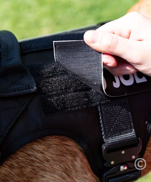 Euro Joe Nylon Harness 'Tactical' Neon Yellow 23 Euro Joe Nylon Harness 'Tactical' Neon Yellow -EURO JOE SHOP tactical harness 27 1