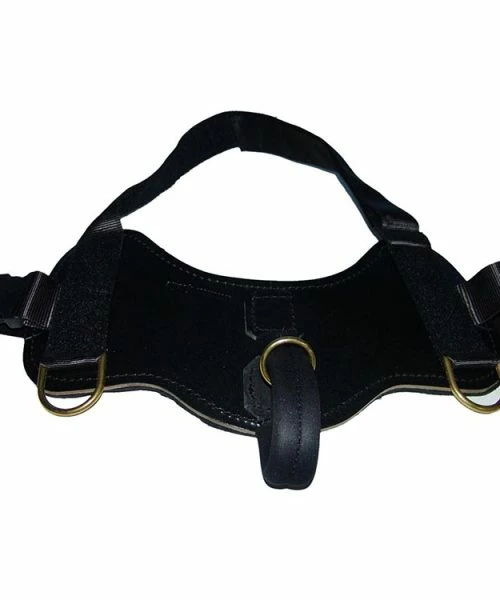 Euro Joe Leather Working Harness