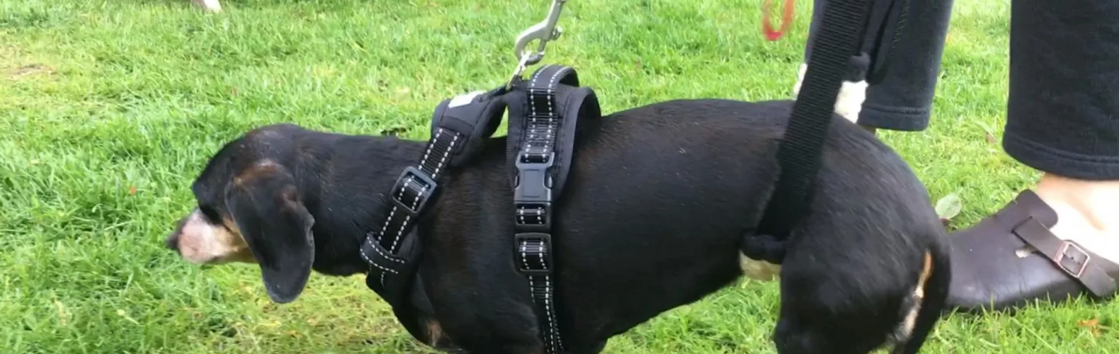 EURO JOE SHOP -EURO JOE SHOP 微信图片 20230314152807